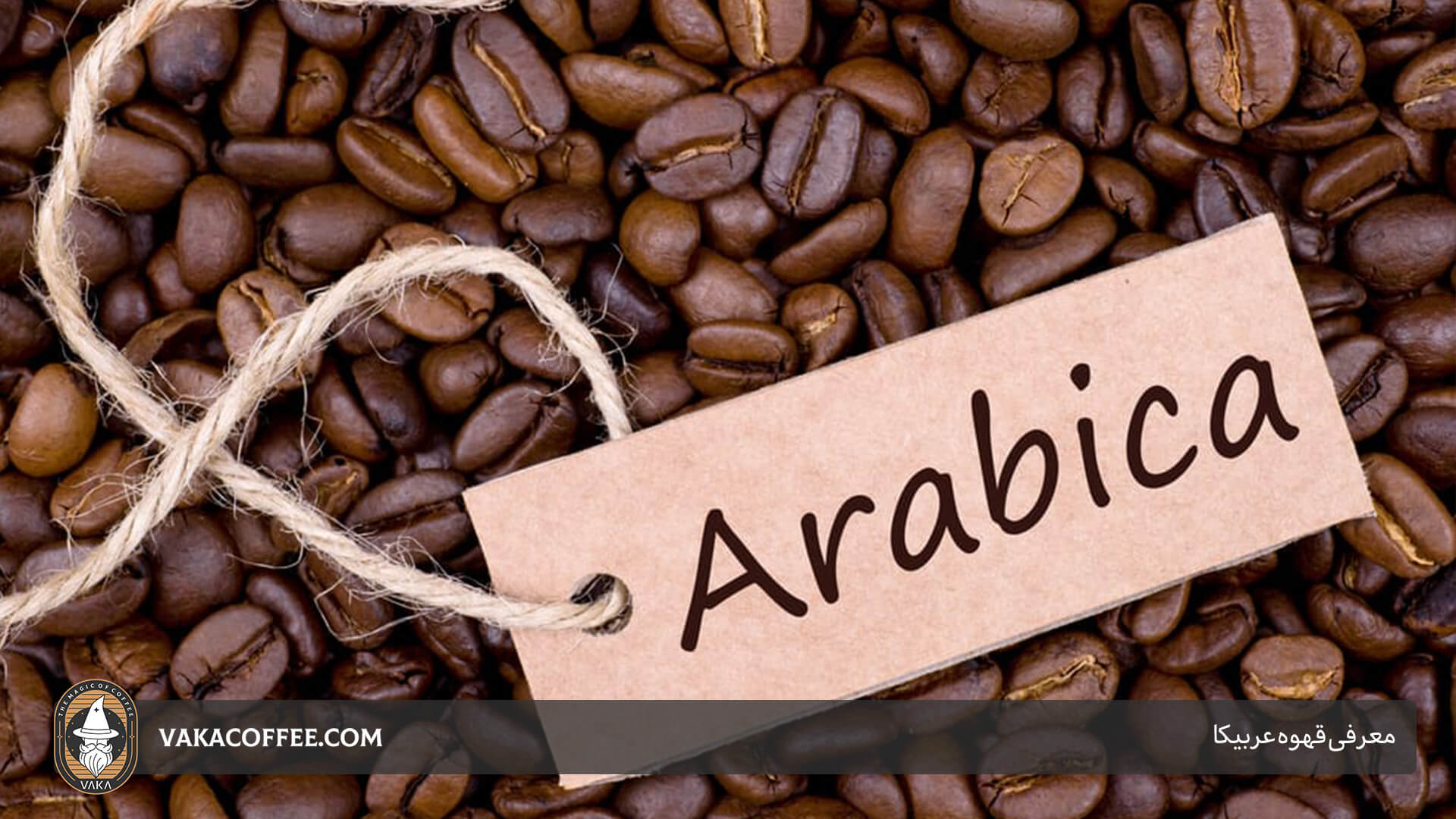 معرفی قهوه عربیکا | قهوه واکا