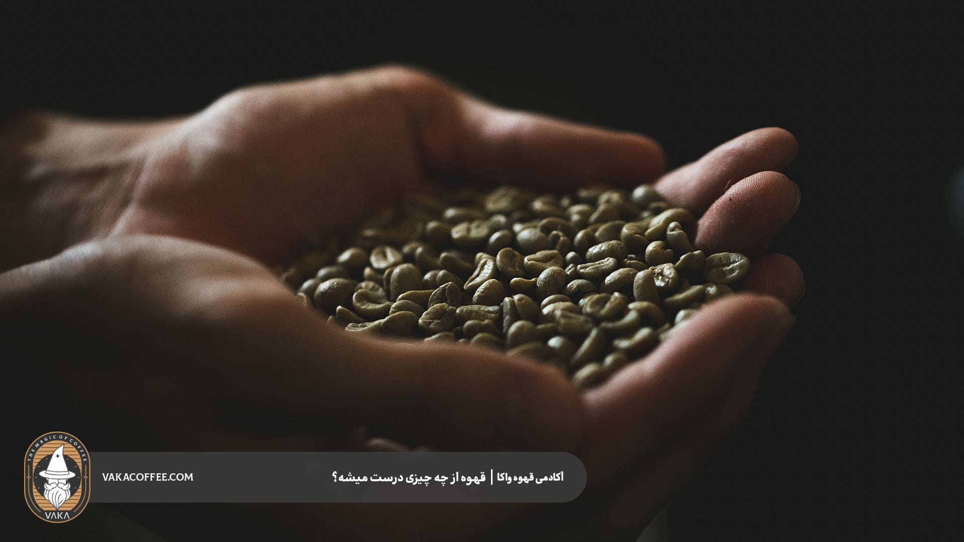 قهوه از چه چیزی درست میشه؟ | قهوه واکا