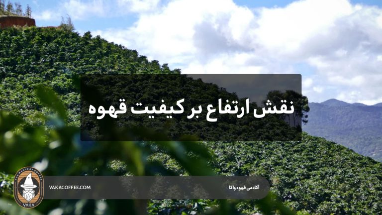 تاثیر ارتفاع بر کیفیت دانه قهوه