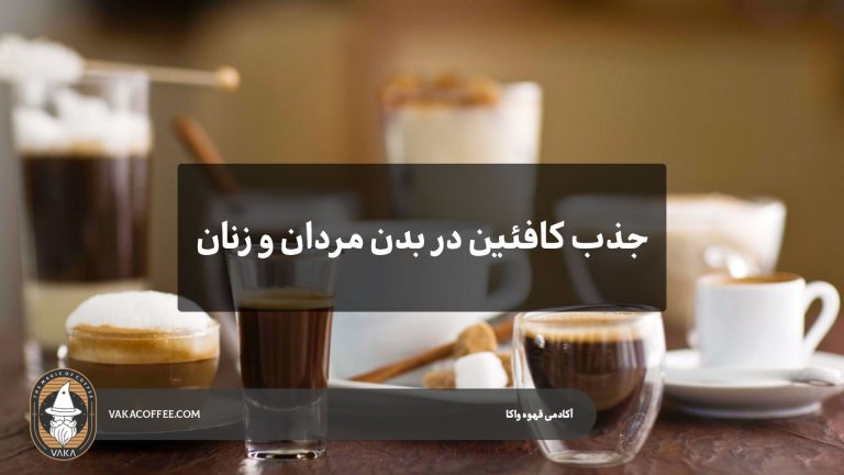 جذب کافئین در بدن زنان و مردان | قهوه واکا