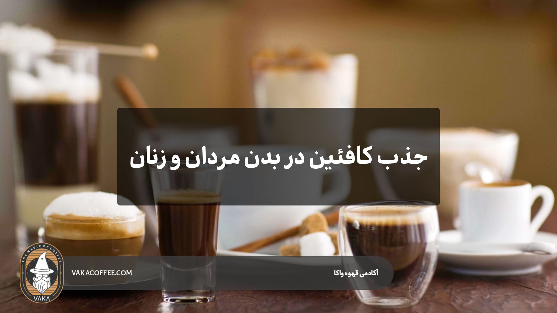 جذب کافئین در بدن زنان و مردان | قهوه واکا