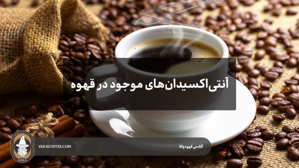 آنتی‌اکسیدان‌های موجود در قهوه | قهوه واکا