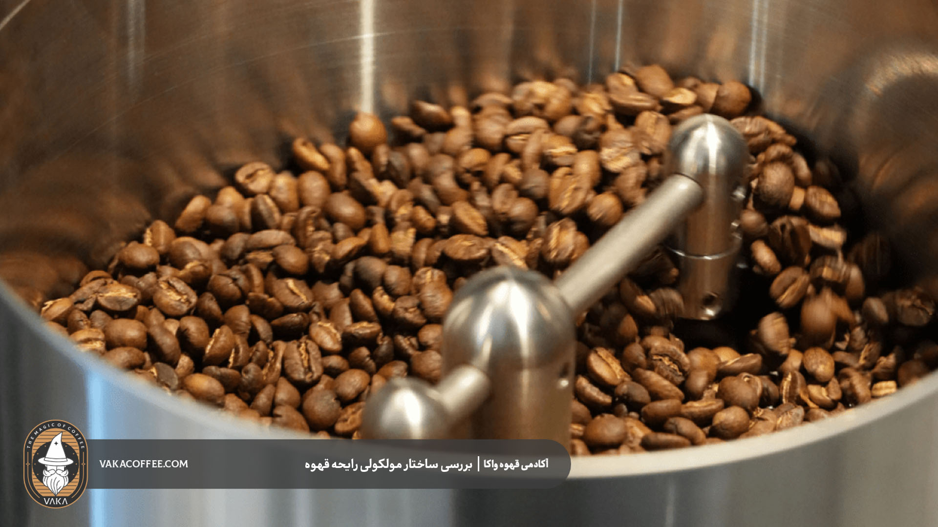 تفاوت ساختار شیمیایی در گونه‌های مختلف قهوه | قهوه واکا