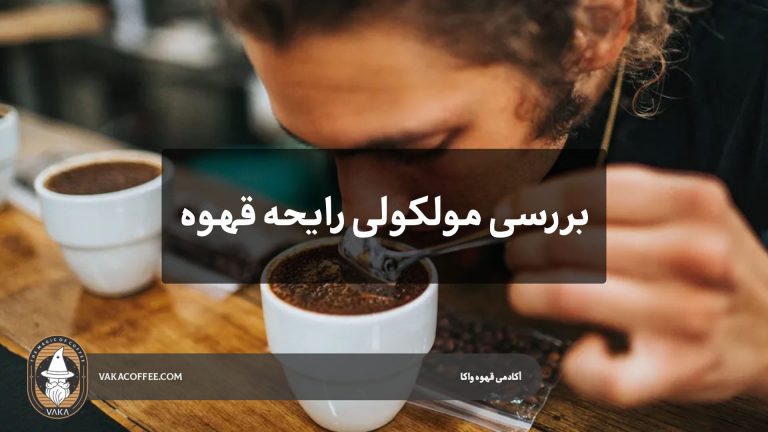 تحلیل مولکولی رایحه قهوه | قهوه واکا