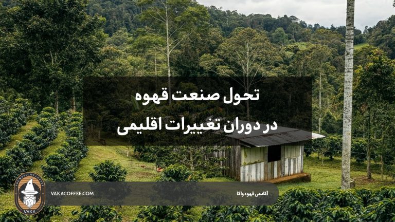 تحول صنعت قهوه در دوران تغییرات اقلیمی | قهوه واکا