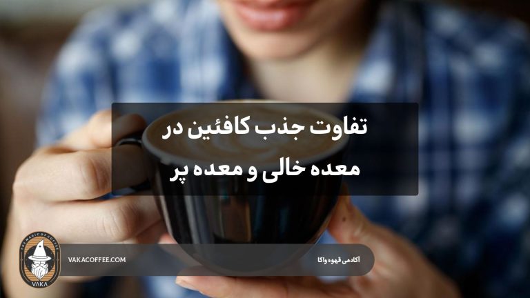 تفاوت جذب کافئین در معده خالی و معده پر | قهوه واکا