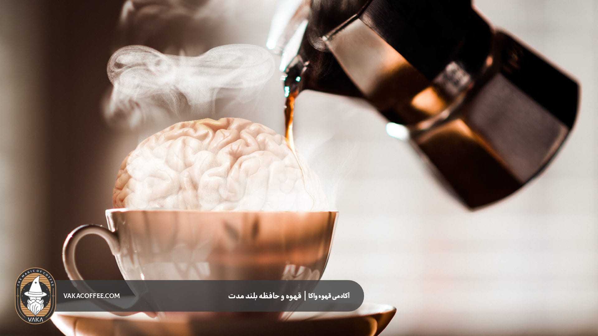 کافئین و تاثیر آن بر مغز | قهوه واکا