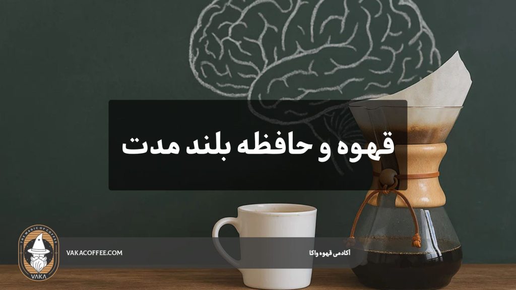 قهوه و حافظه بلند مدت ؛ تحقیقات جدید چه می‌گویند؟ | قهوه واکا