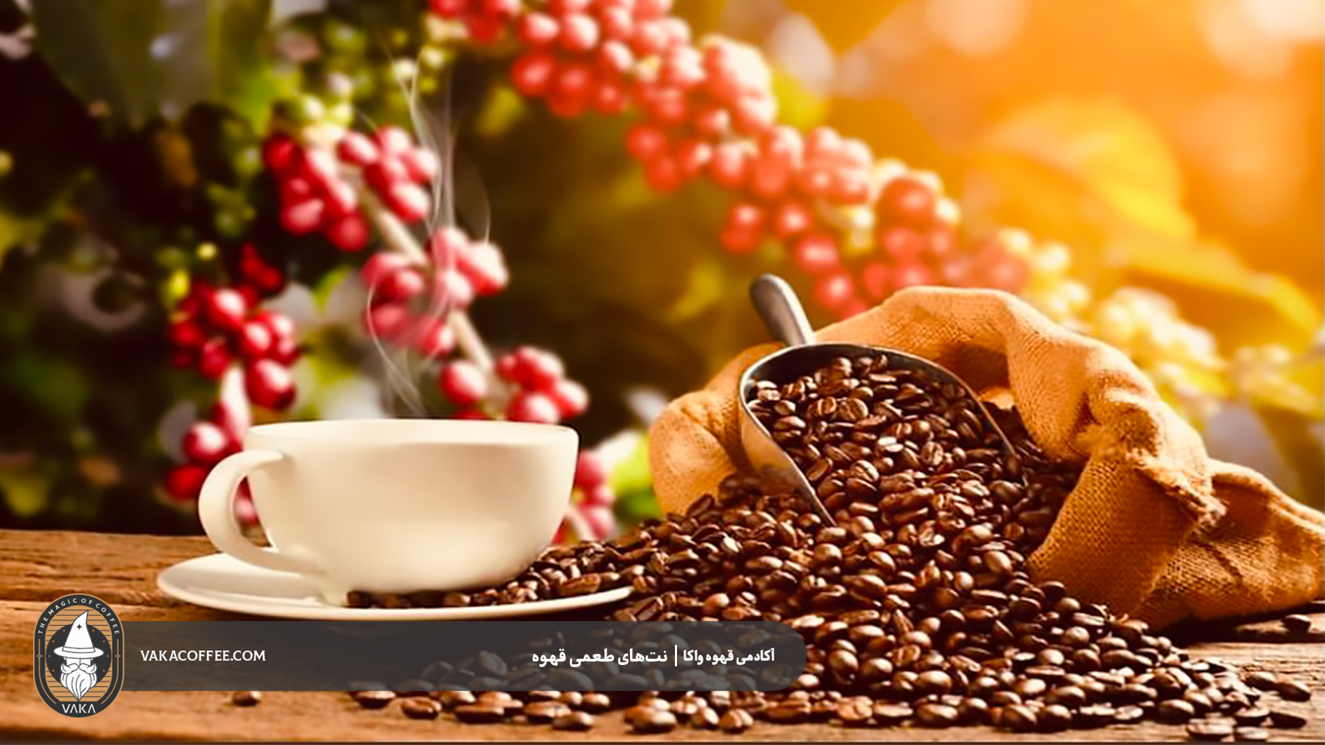 نت‌های طعمی قهوه