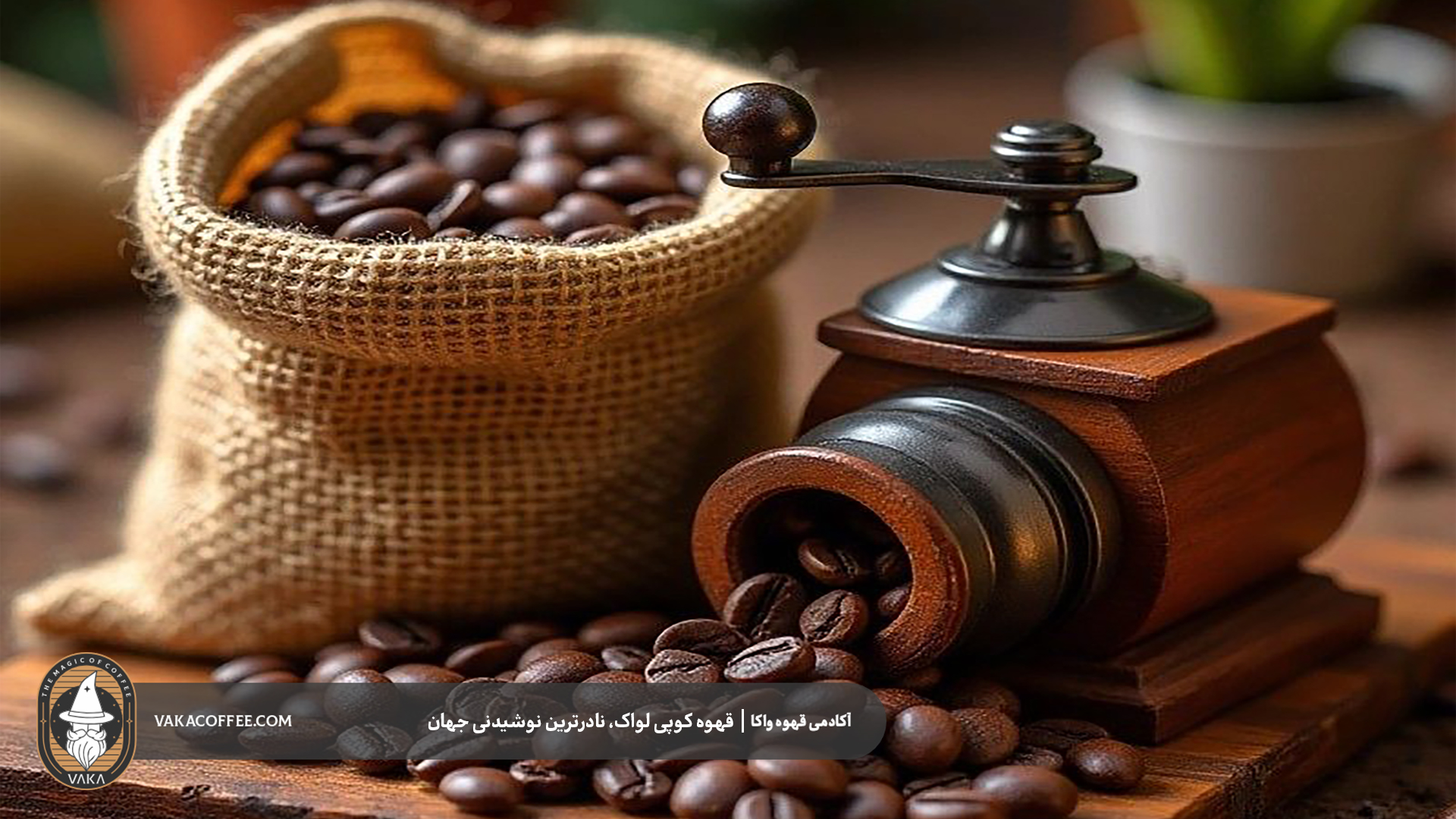 قهوه کوپی لواک