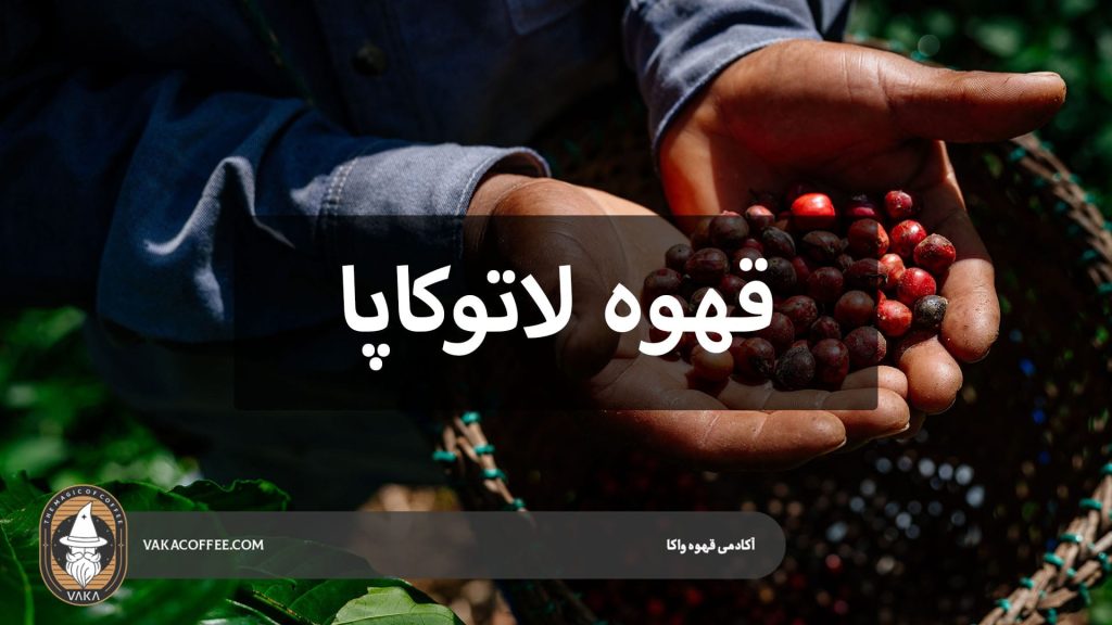 قهوه لاتوکاپا | قهوه واکا