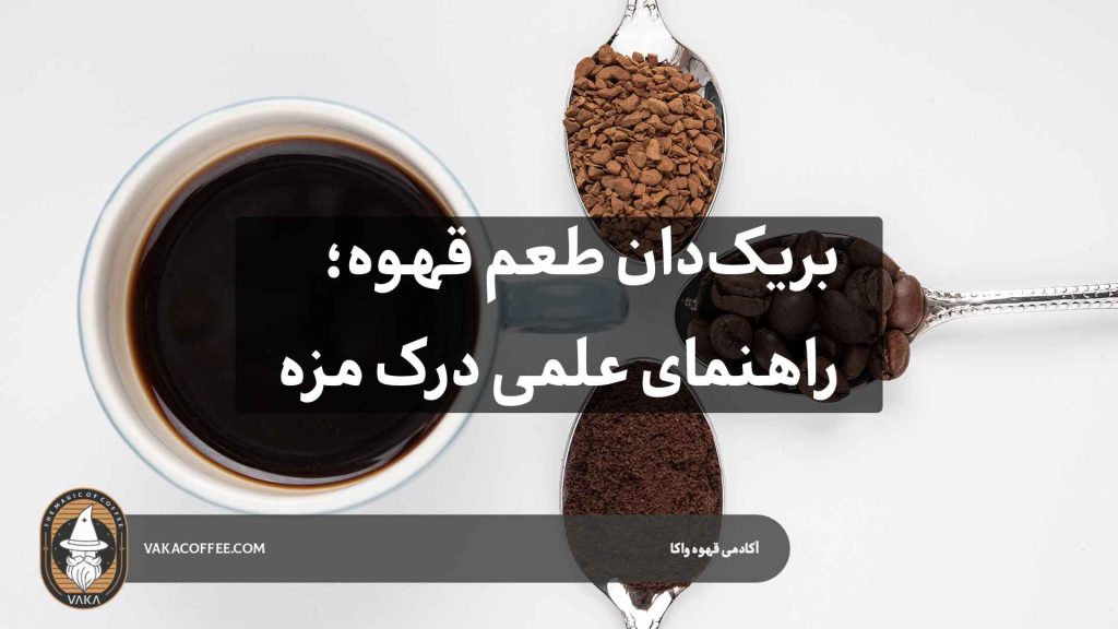 بریک‌دان طعم قهوه؛ راهنمای علمی درک مزه