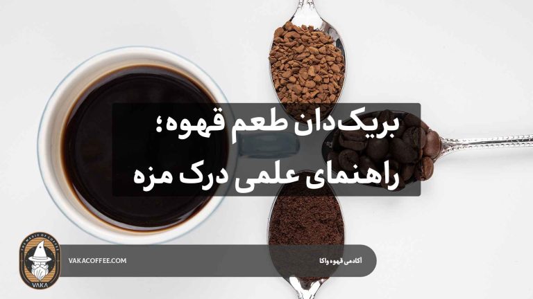 بریک‌دان طعم قهوه؛ راهنمای علمی درک مزه