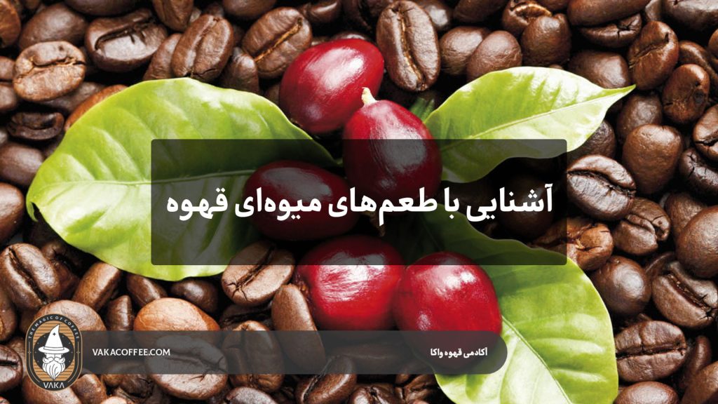 چرا بعضی قهوه‌ها بوی مرکبات، توت یا سیب دارند؟ آشنایی با طعم‌های میوه‌ای قهوه | قهوه واکا