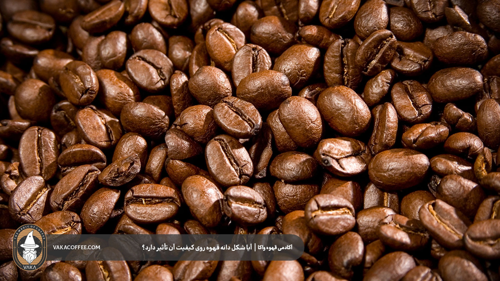 دانه قهوه شکسته چیست؟ | قهوه واکا