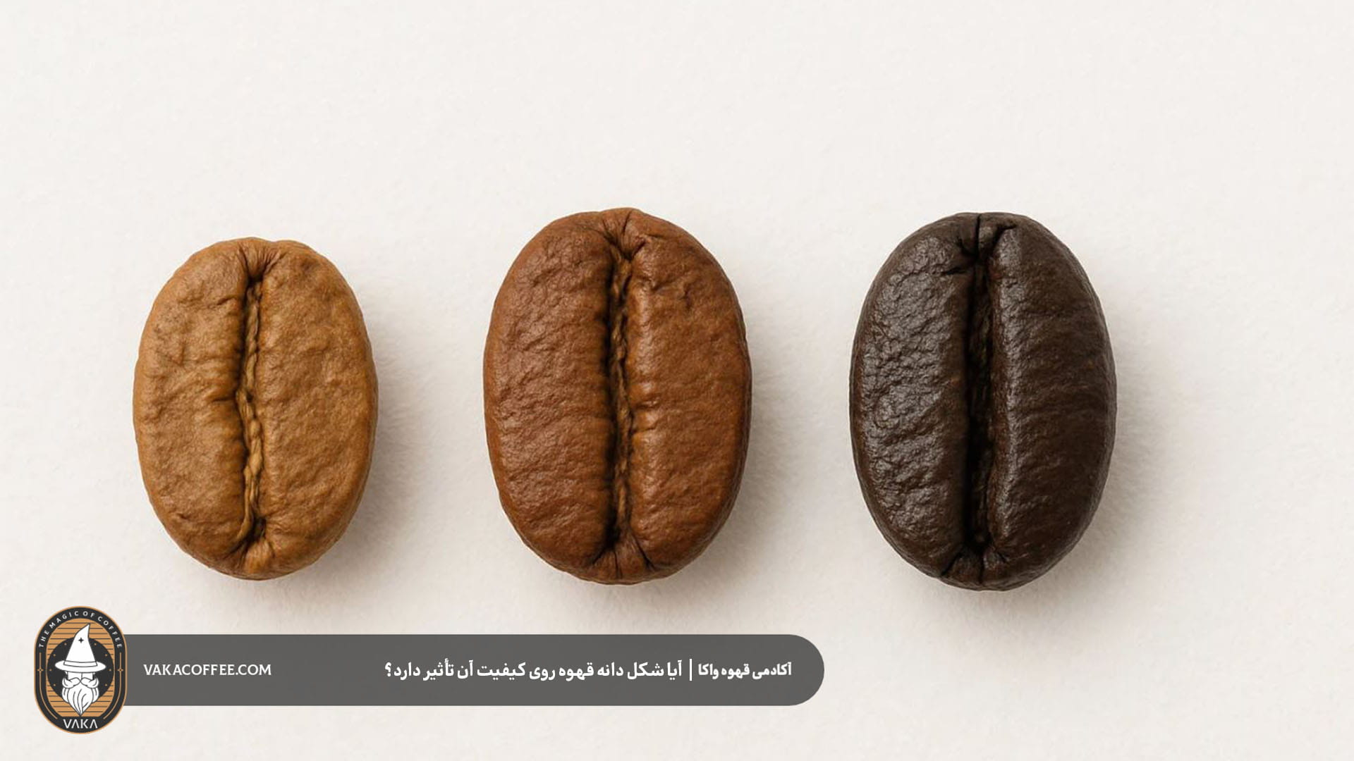 چگونه کیفیت دانه قهوه را بهتر ارزیابی کنیم؟ | قهوه واکا