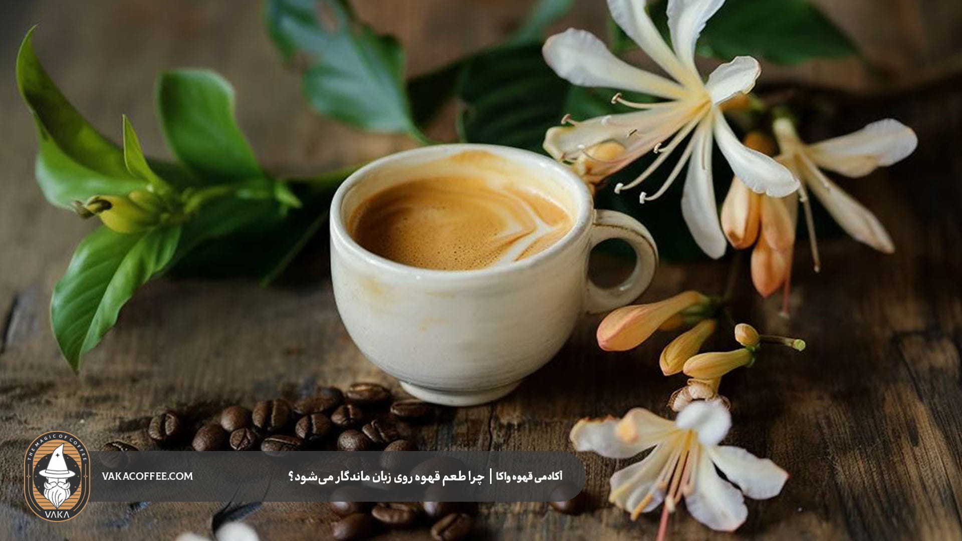 آیا پسمزه طولانی نشانه قهوه باکیفیت است؟ | قهوه واکا