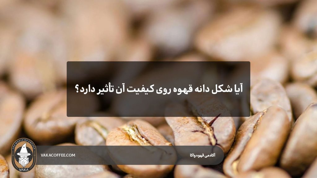 آیا شکل دانه قهوه روی کیفیت آن تأثیر دارد؟ | قهوه واکا