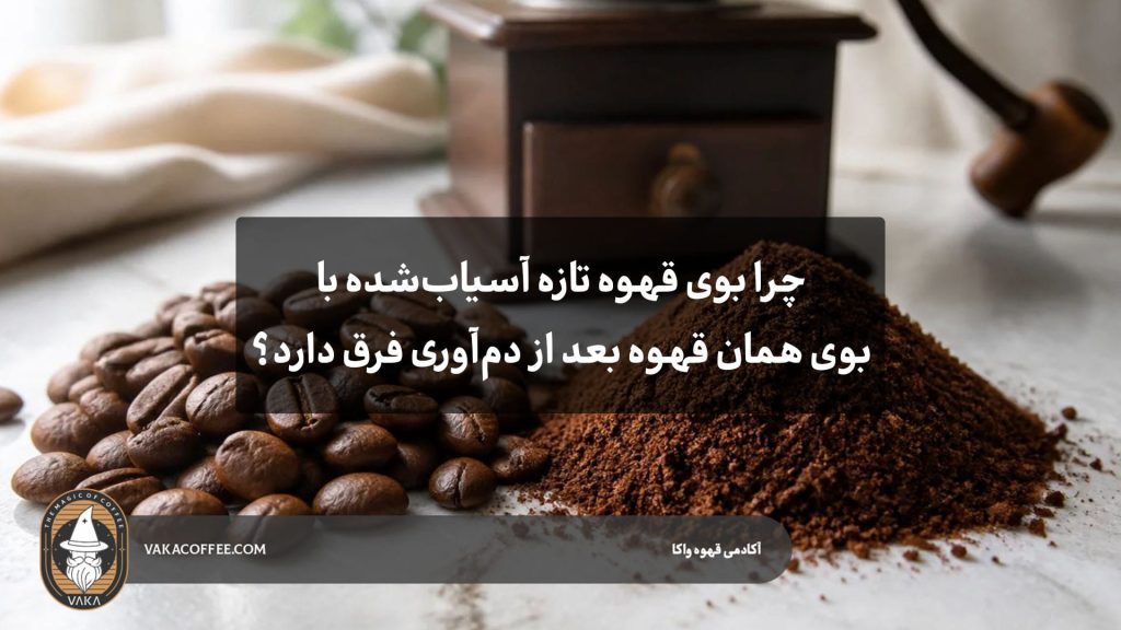 چرا بوی قهوه تازه آسیاب‌شده با بوی همان قهوه بعد از دم‌آوری فرق دارد؟ | قهوه واکا